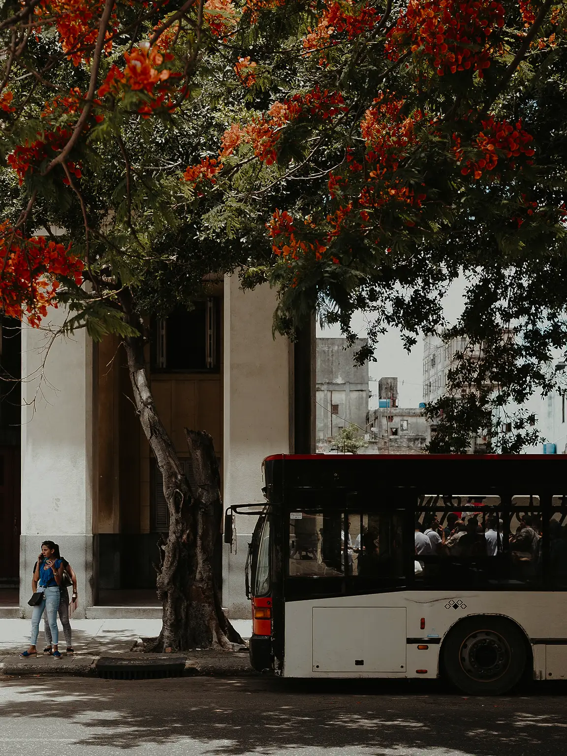 Be-in Be-out for Public Transport